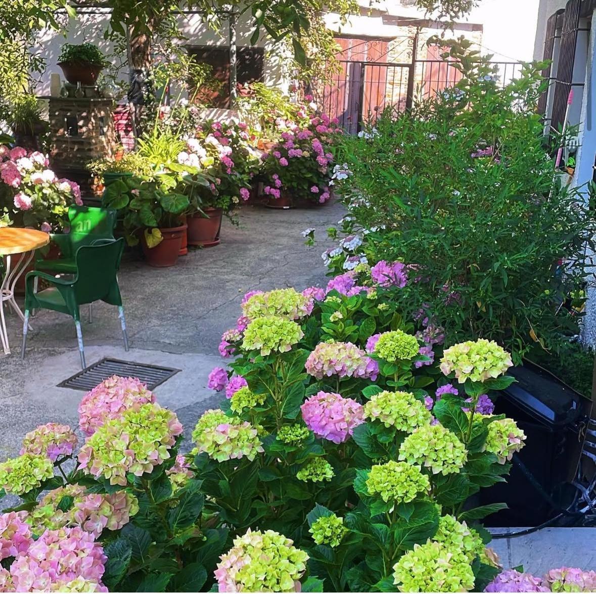 Hostal Rural Las Terrazas De La Alpujarra Bubion Bagian luar foto